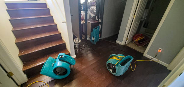 Best Sewage cleanup and water damage restoration  in Osceola, IA