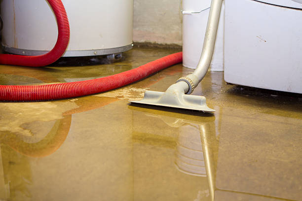 Best Water damage contractors near me  in Osceola, IA