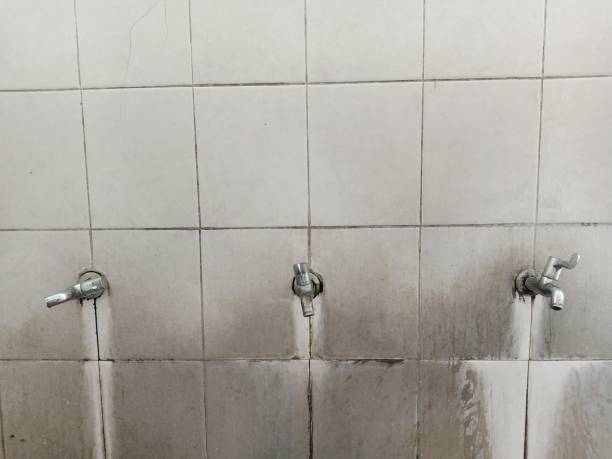 Best 24/7 water damage repair  in Osceola, IA