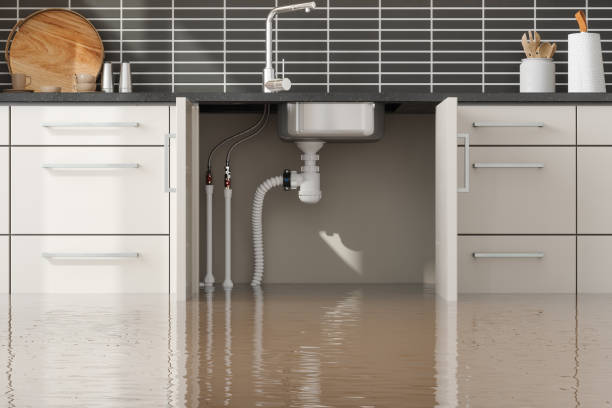 Best Commercial water damage restoration  in Osceola, IA