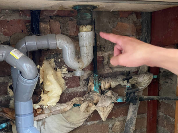 Best Water damage restoration near me  in Osceola, IA