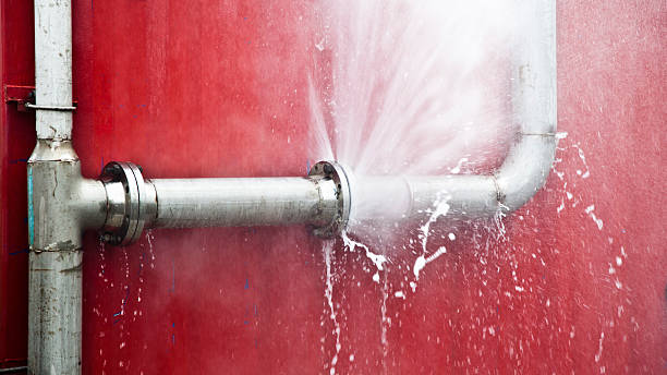 Best Water damage cleanup near me  in Osceola, IA