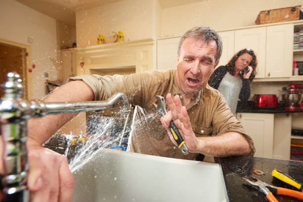 Best Water damage restoration services  in Osceola, IA
